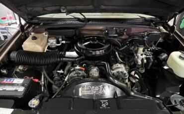 Gmc-Sierra-1500-shortbed-1988-brown-15