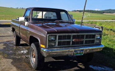 Gmc-Sierra-2500-1984-brown-12