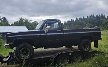 Gmc-Sierra-2500-1984-brown-13