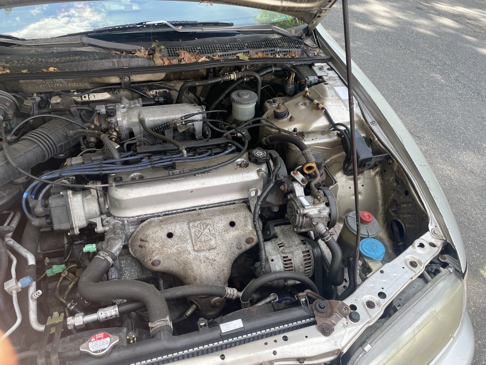 Honda-Accord-1995-Sedan-1