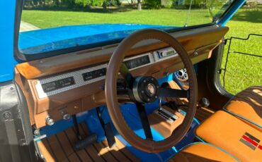 International-Harvester-Scout-1976-Convertible-4