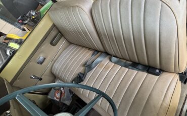 International-Scout-II-1973-10