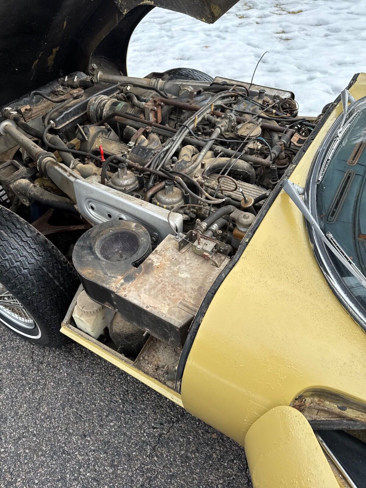 Jaguar-E-Type-1973-Coupe-9