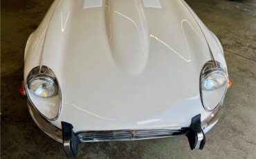 Jaguar-E-Type-Roadster-1973-13