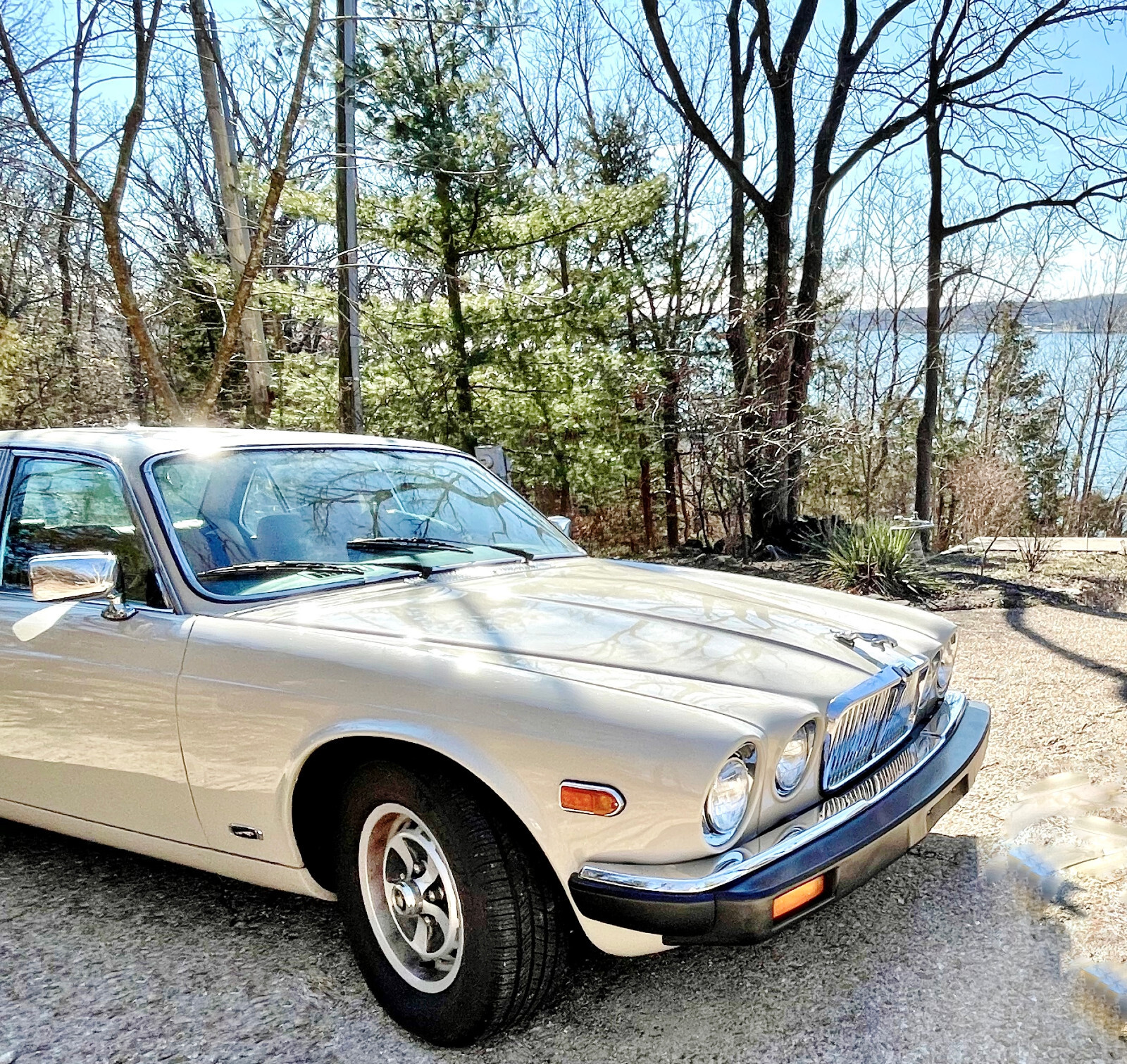 Jaguar-XJ6-1986-Sedan-1