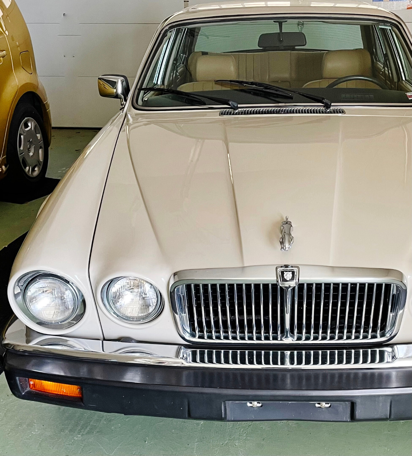 Jaguar-XJ6-1986-Sedan-2