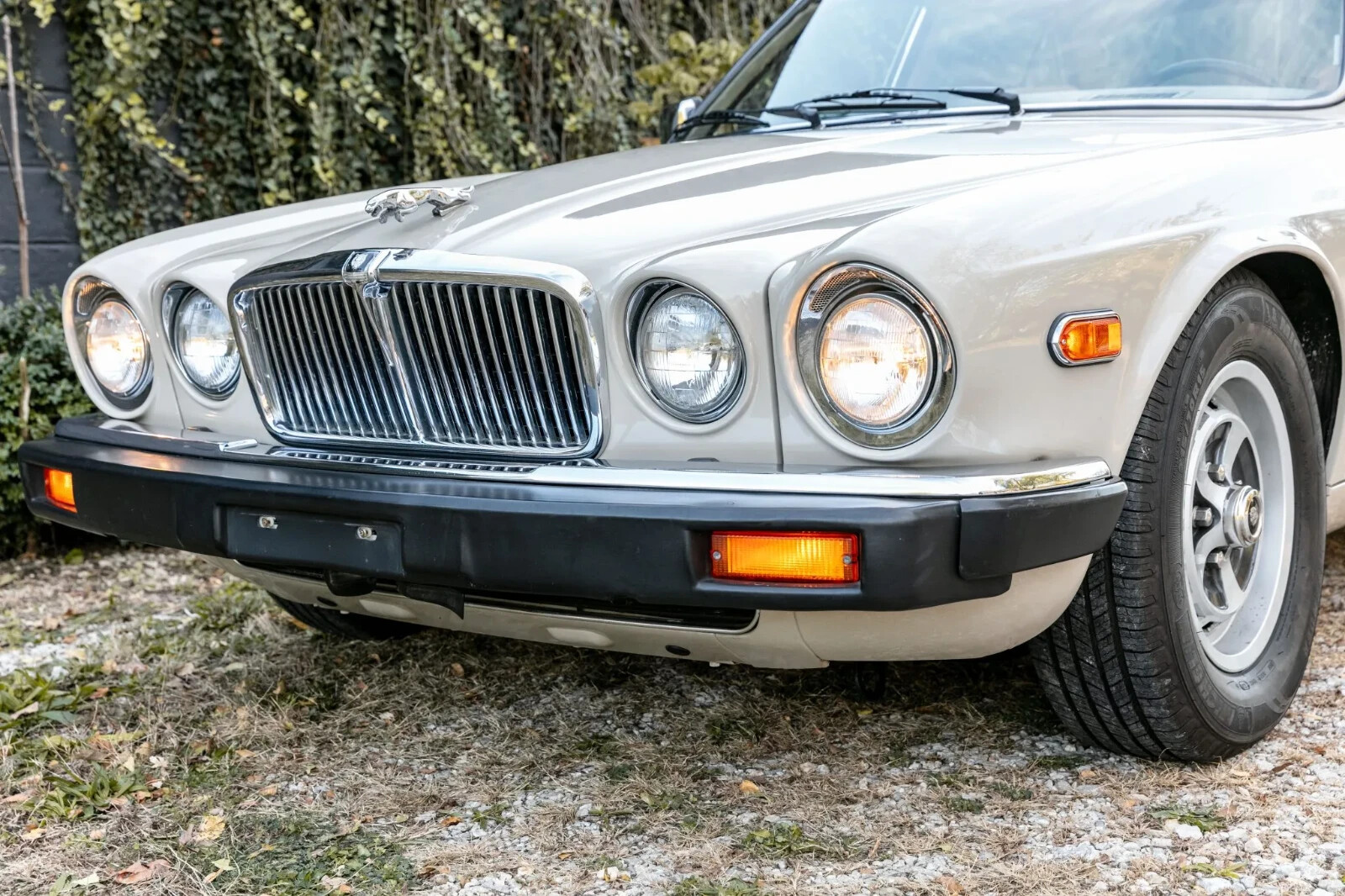 Jaguar-XJ6-1986-Sedan-3