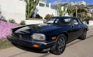 Jaguar-XJS-1982-Coupe-15