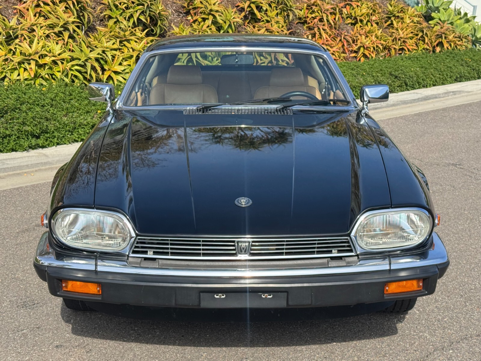 Jaguar-XJS-1982-Coupe-2