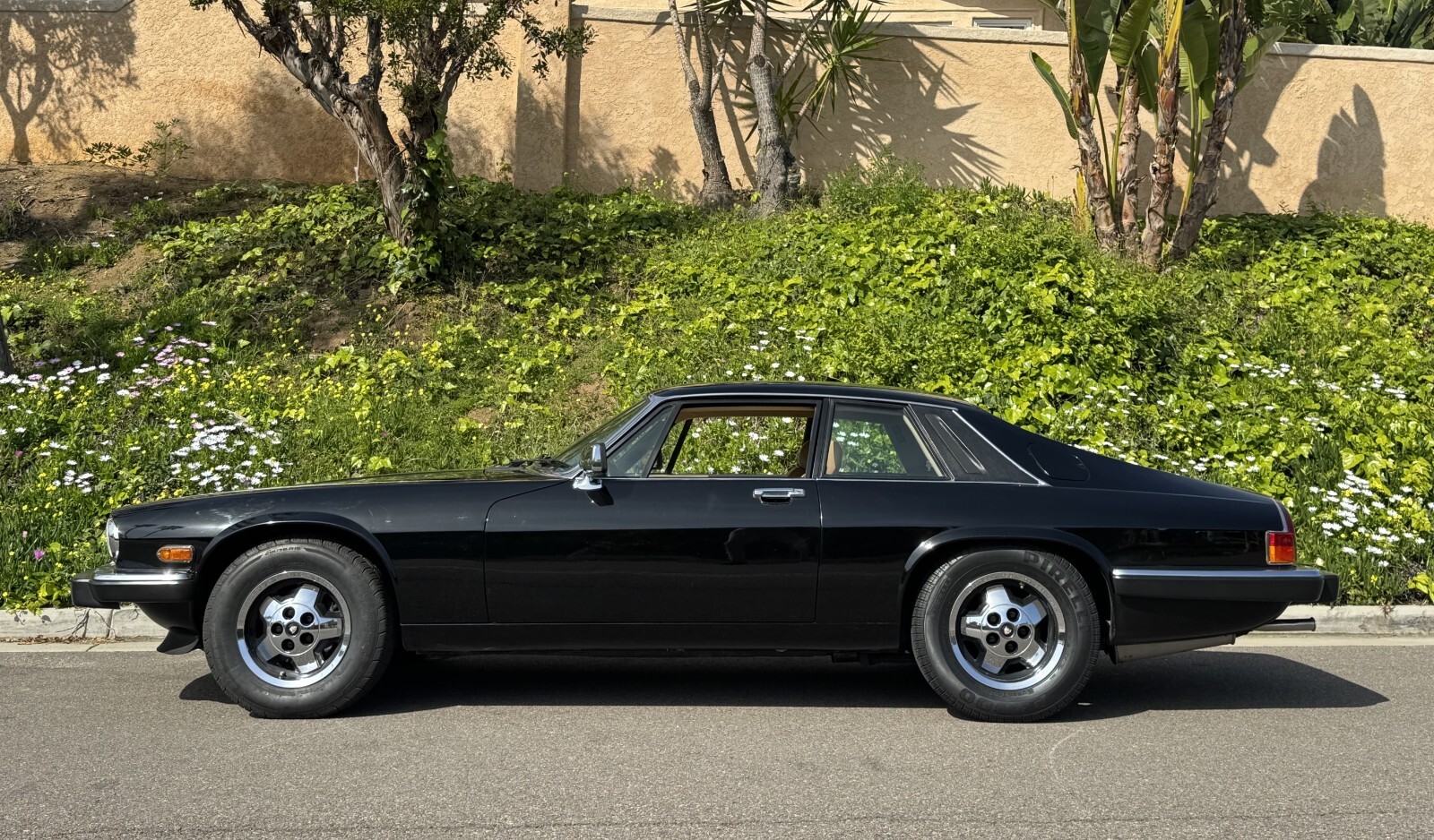 Jaguar-XJS-1982-Coupe-7