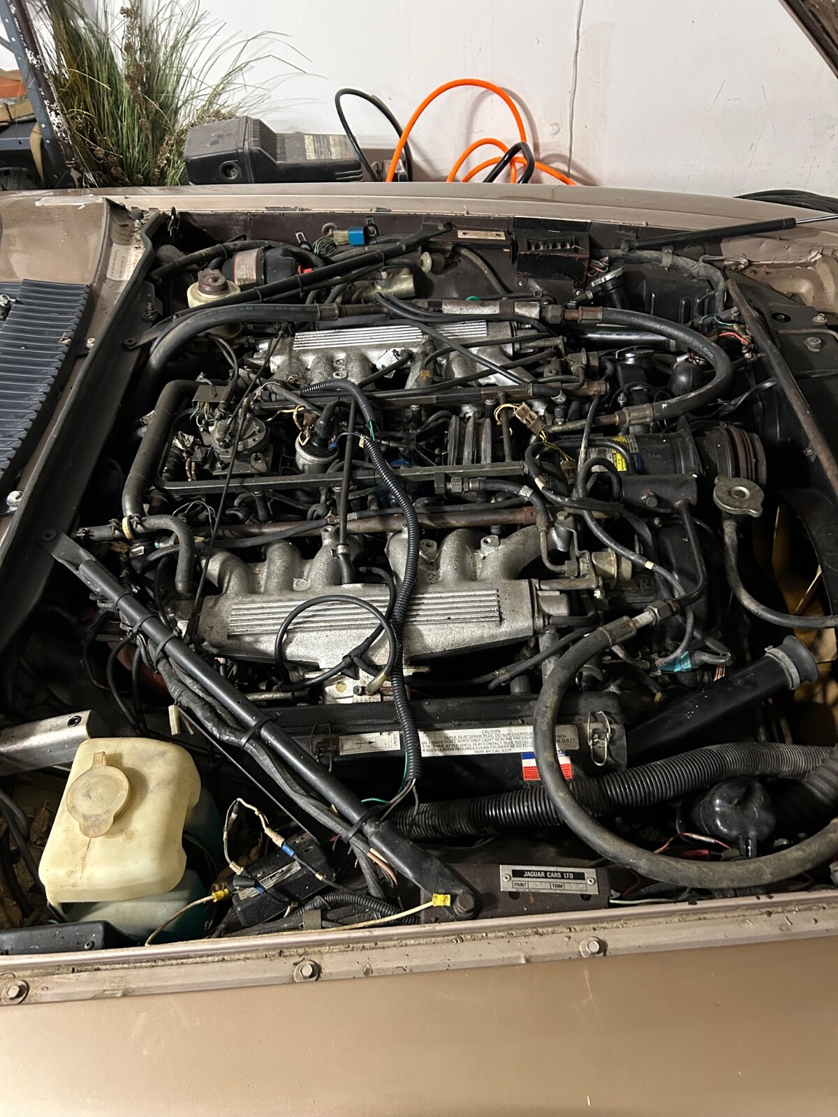 Jaguar-XJS-1986-Cabriolet-16