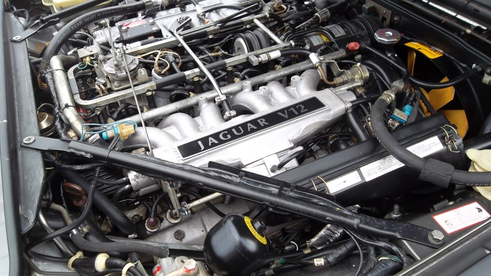 Jaguar-XJS-1989-32