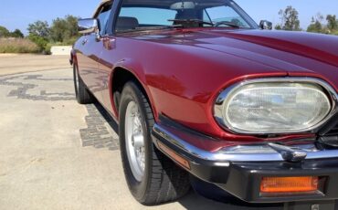Jaguar-XJS-1992-Convertible-10