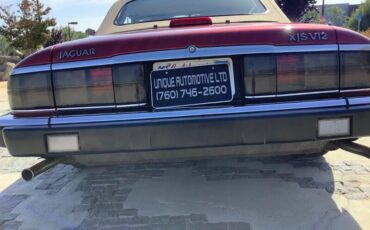 Jaguar-XJS-1992-Convertible-16