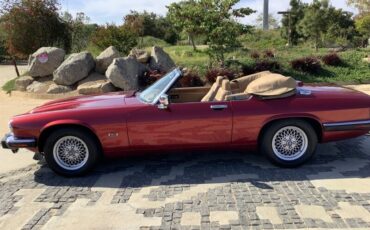 Jaguar-XJS-1992-Convertible-6