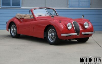 Jaguar XK 1954 --