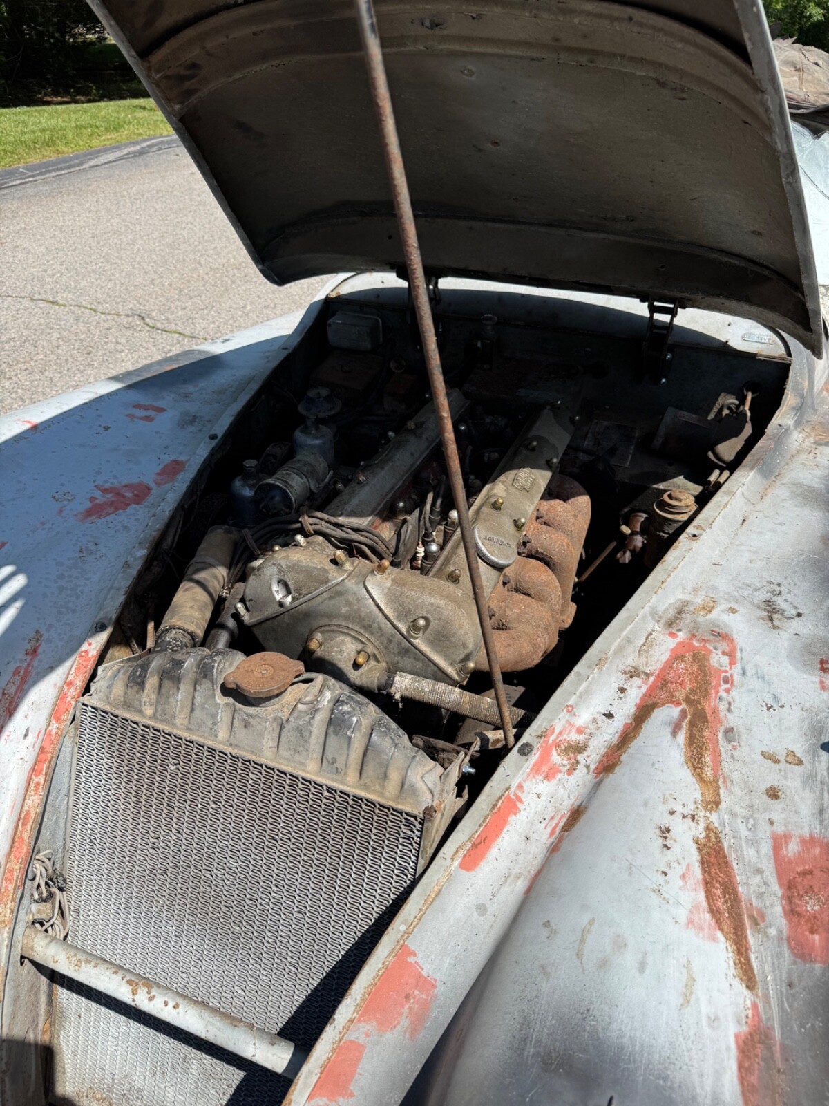 Jaguar-XK140-1956-Convertible-19