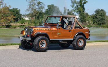 Jeep-1979-Jeep-CJ7-Frame-Off-Restored-V8-1979-2d-2-Door-Hard-TOP-17