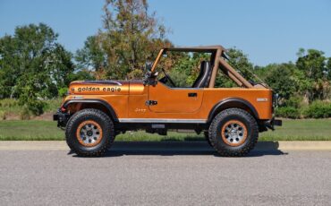 Jeep-1979-Jeep-CJ7-Frame-Off-Restored-V8-1979-2d-2-Door-Hard-TOP-19