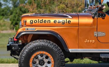 Jeep-1979-Jeep-CJ7-Frame-Off-Restored-V8-1979-2d-2-Door-Hard-TOP-26