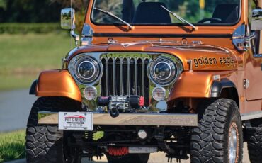 Jeep-1979-Jeep-CJ7-Frame-Off-Restored-V8-1979-2d-2-Door-Hard-TOP-27