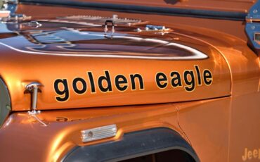 Jeep-1979-Jeep-CJ7-Frame-Off-Restored-V8-1979-2d-2-Door-Hard-TOP-34