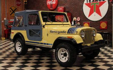 Jeep-CJ-1979-Convertible-11