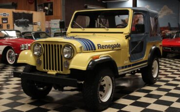 Jeep-CJ-1979-Convertible-13