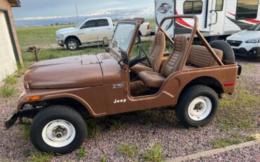 Jeep-CJ-1980-2