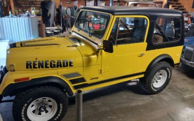 Jeep CJ 1981 SUV