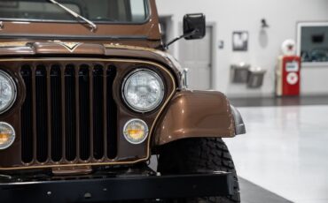 Jeep-CJ-7-Golden-Eagle-1979-SU-Sport-Utility-16