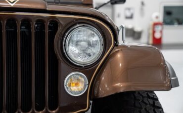 Jeep-CJ-7-Golden-Eagle-1979-SU-Sport-Utility-17
