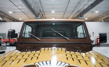 Jeep-CJ-7-Golden-Eagle-1979-SU-Sport-Utility-24