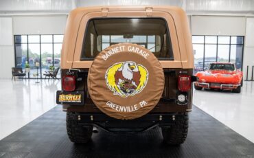 Jeep-CJ-7-Golden-Eagle-1979-SU-Sport-Utility-31