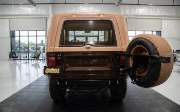 Jeep-CJ-7-Golden-Eagle-1979-SU-Sport-Utility-32