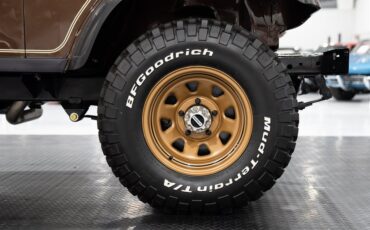 Jeep-CJ-7-Golden-Eagle-1979-SU-Sport-Utility-36