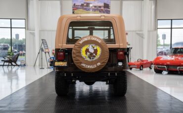 Jeep-CJ-7-Golden-Eagle-1979-SU-Sport-Utility-6