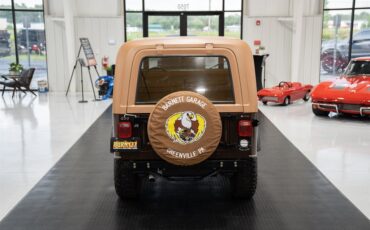 Jeep-CJ-7-Golden-Eagle-1979-SU-Sport-Utility-7