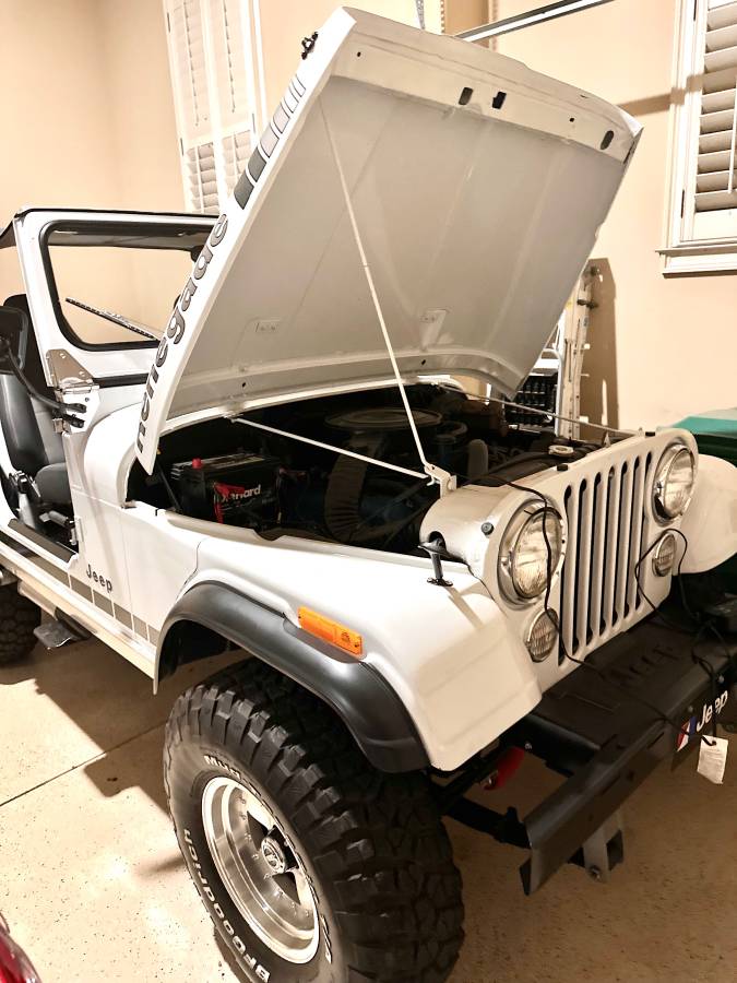 Jeep-Cj-7-1979-white-3