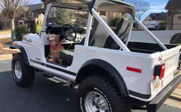 Jeep-Cj-7-1979-white-7