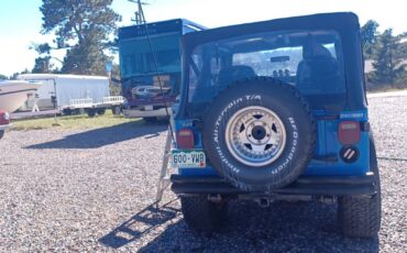 Jeep-Cj77-1977-blue-6
