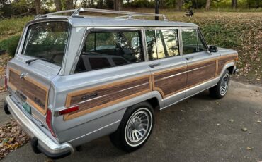Jeep-Grand-Wagoneer-1990-1