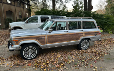 Jeep-Grand-Wagoneer-1990-14