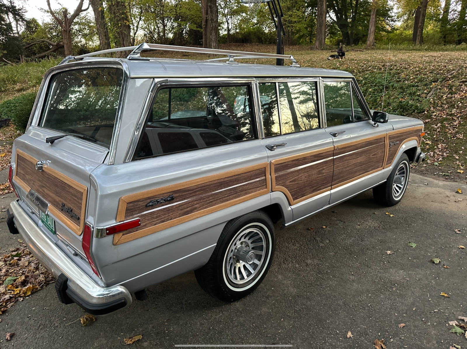Jeep-Grand-Wagoneer-1990-15