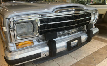 Jeep-Grand-Wagoneer-1990-16
