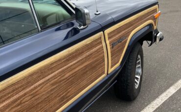 Jeep-Grand-Wagoneer-1991-Wagon-8