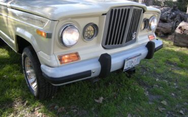 Jeep-Grand-wagoneer-1985-3