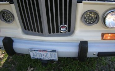 Jeep-Grand-wagoneer-1985-6
