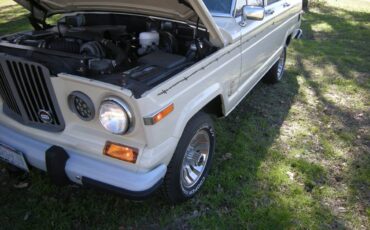 Jeep-Grand-wagoneer-1985-7