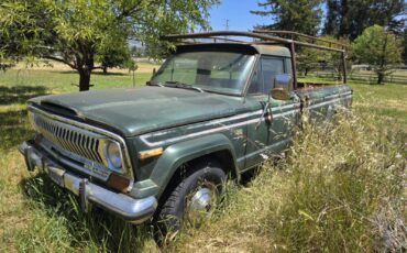 Jeep-Other-1977-1